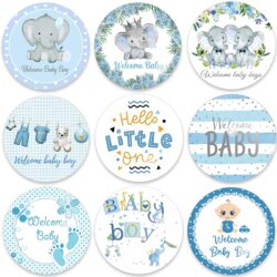 Welcome Baby Boy Stickers